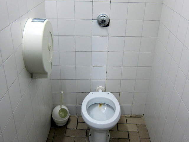 Is it too much to ask to have a toilet seat? Do people steal these things or something?
